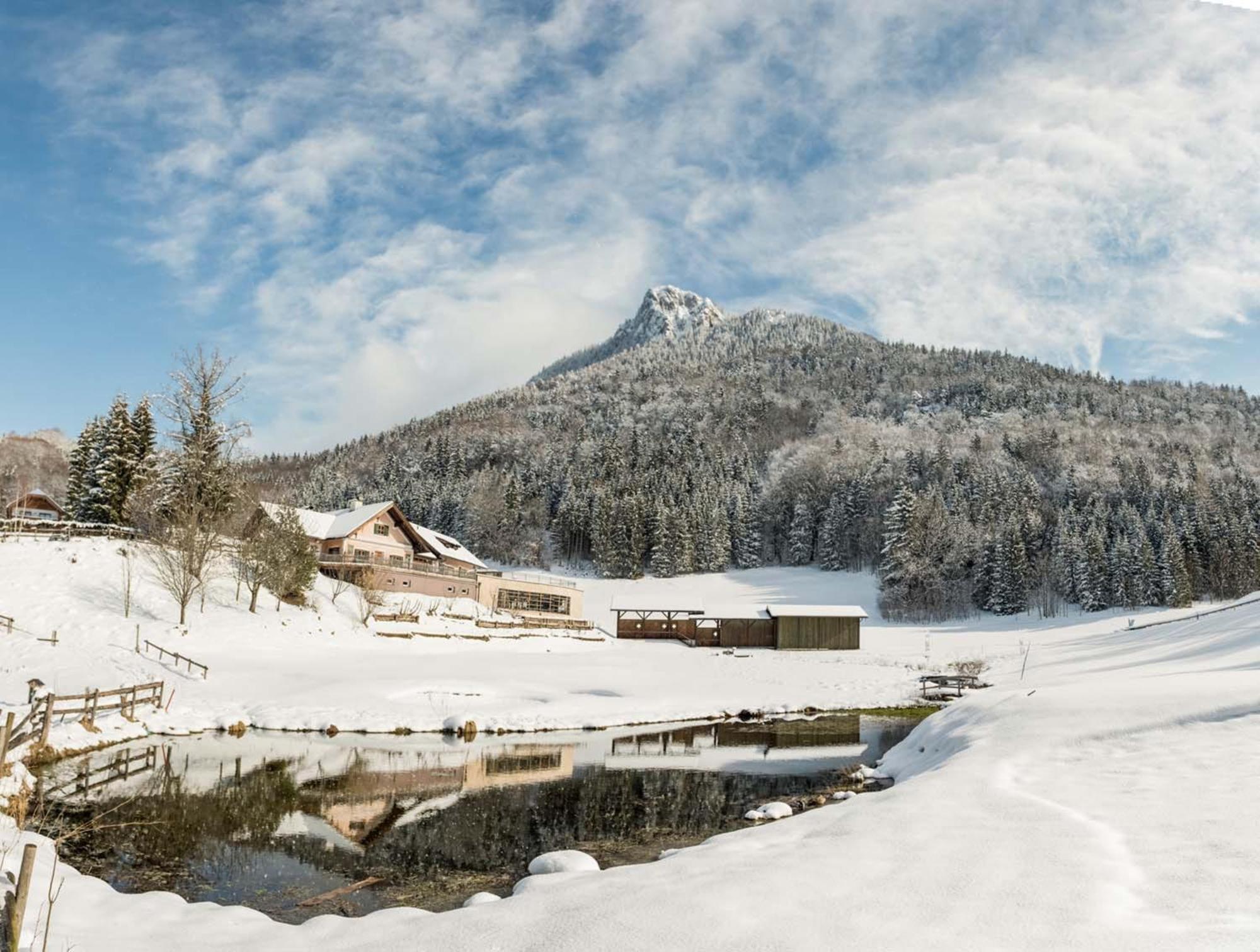 Waldhof Fuschlsee Resort Fuschl am See Zewnętrze zdjęcie
